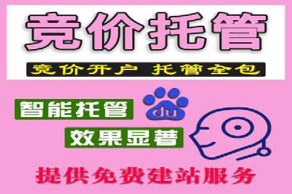 百度竞价推广代运营成功案例深度剖析